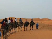 Sahara Camp Merzouga 