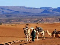 Bivouac Maroc DГ©sert Zagora 