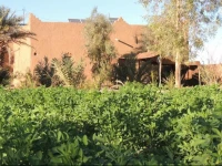Dar Nkhal Maison DHГґte 