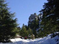 Casa La Palma