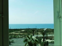 Surf Paradise Morocco 