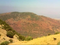 Maison dhotes Rabha Ait Bou Izryane 