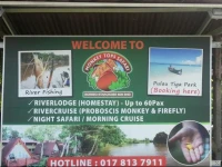 Monkey Top Safari 