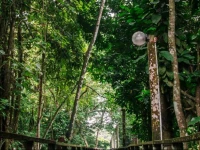 Kinabatangan Jungle Camp 
