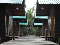 Kinabatangan Sunshine Lodge 