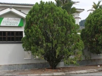Ipoh Minsu Homestay 