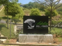 Adelia Hill Farm 
