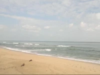 Tok Aman Bali 