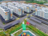 Quin Homestay 
