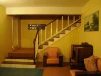 Jungle Resort 