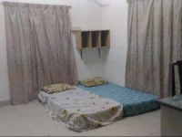 PJ Backpackers 107 