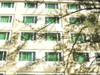 Tang Dynasty Park Hotel