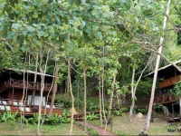 Mari Mari Sepanggar Lodge 