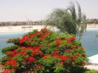 Villa Marina Egypt 3*
