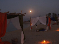 Ayla Camp