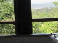 Spa in The Woods - B&B in Amirim 