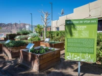 Eilot Kibbutz Country Lodging 