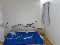 Erika Luxurious Apartment 