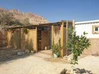 Ein Gedi Kibbutz Hotel 