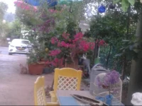 Barud Gedera Israel 