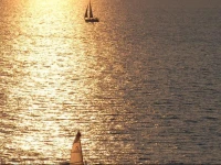 The Sharon - Beach Resort & Spa Hotel 