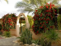 Hahan Guest House in the Arava 