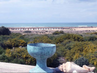 Beach Front Studio