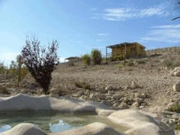 Carmey Avdat Farm 