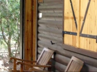 Cabin Resort 