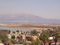 Rose Dead Sea Rooms 