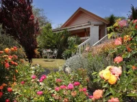 The Beautiful Cabins 
