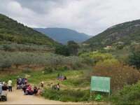 The Bedouin Experience in the Galilee 