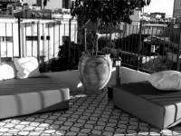 Pink House TLV 