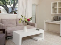 Levy - Neve Tzedek 