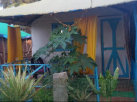 Arya Cottages