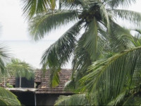 JBL Guest House