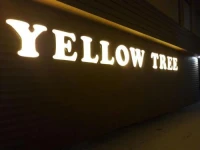 Yellow Tree 