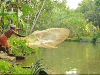 Kuttickattil Gardens Homestay 3*
