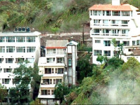 Misty Meadows Resorts