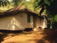 Verdant Vagamon
