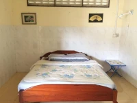 Butterfly Homeaway 