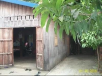 Wooden House 