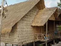 Mangrove Lodge 