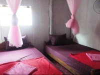 White Dragon Guest House 