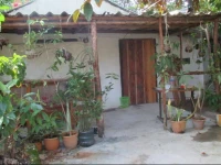 Paddys Bamboo Guesthouse 