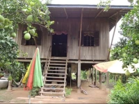 Bun Ban Homestay at Trong Island 