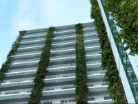 Bellevue Serviced Apartments