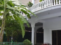 3 Mangos Guesthouse 