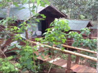 Happy Elephant Bungalows
