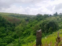 Tre Homestay 